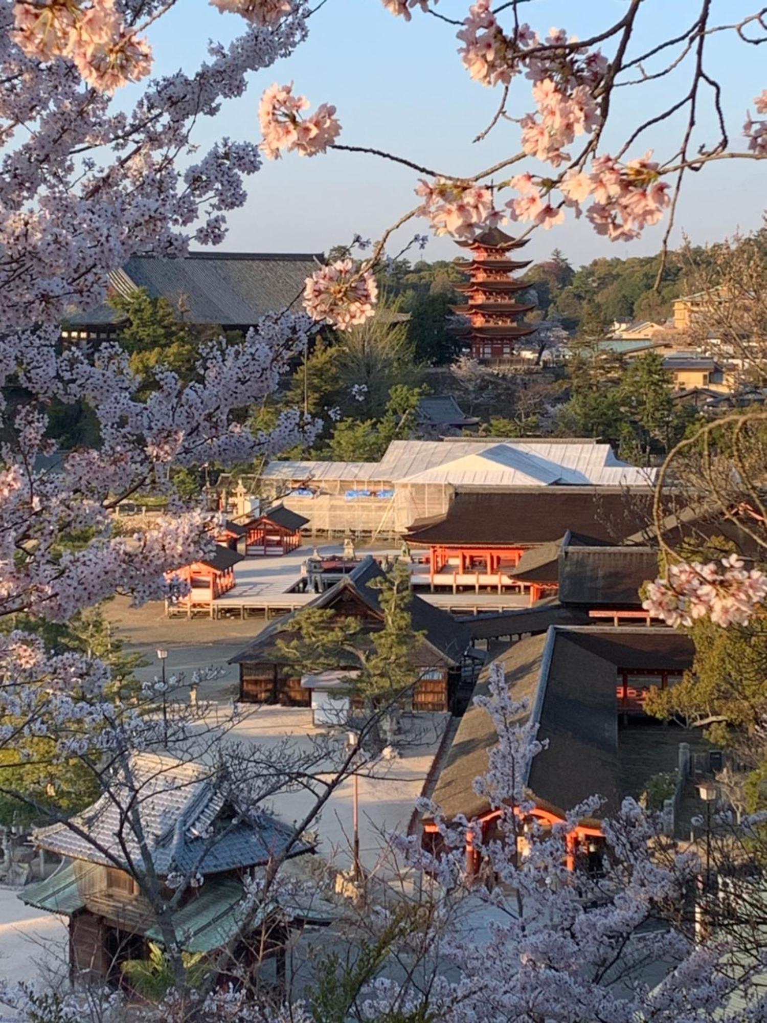 宮島 町家宿 進龍庵 Hatsukaichi Ngoại thất bức ảnh